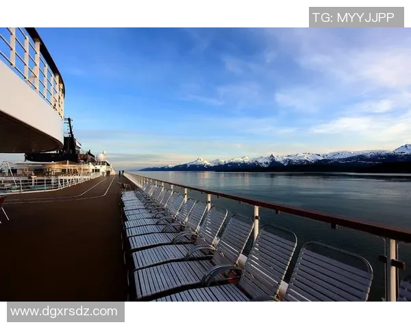 深度对话：杨军在网球场上的追梦历程与人生感悟