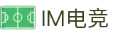 IM(股份有限公司)电竞-电子竞技平台